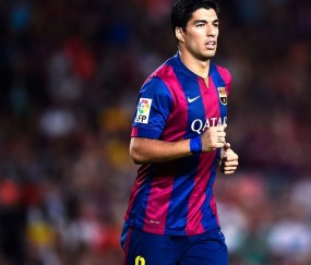 世界杯2026-爱德华兹爆发，当狼王长啸撕裂布鲁克林之夜，篮网提前终结悬念猛龙