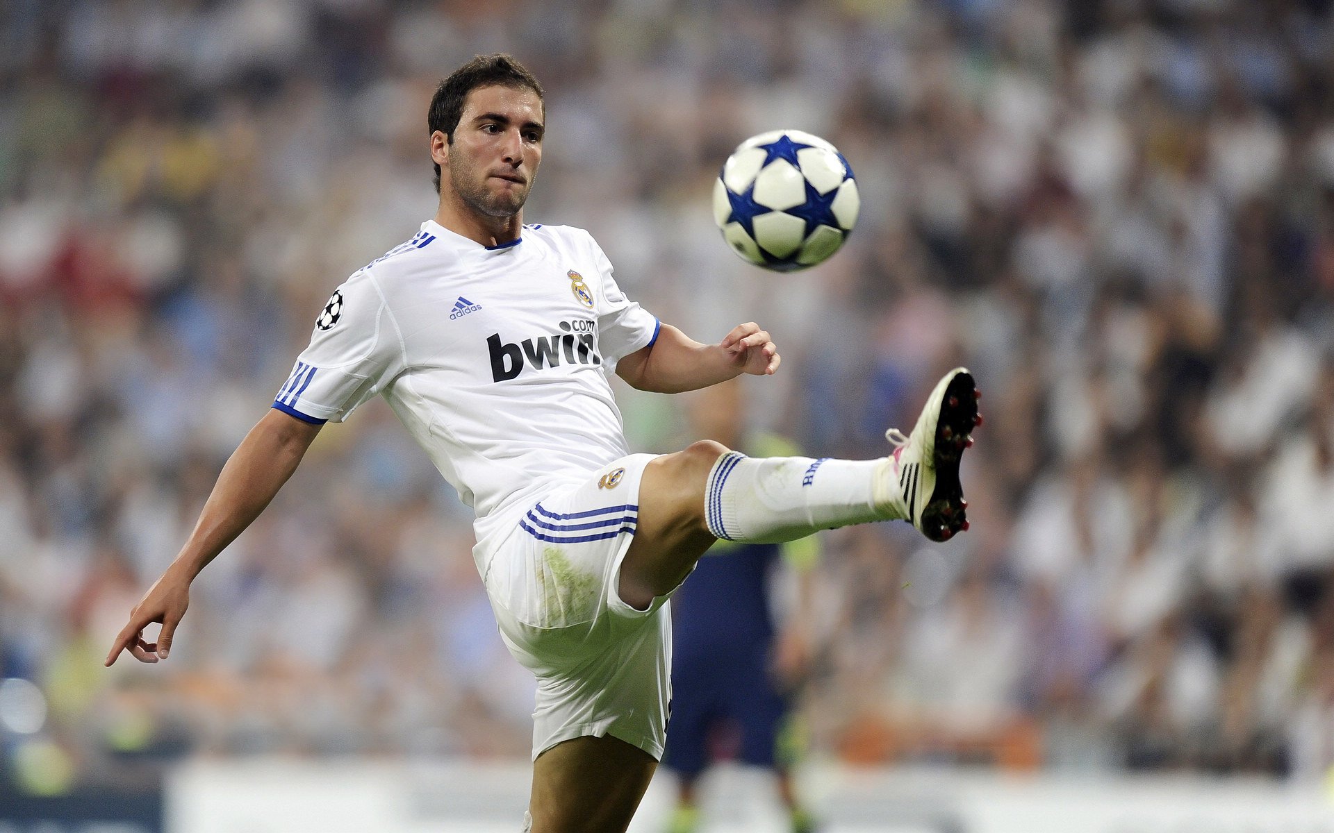 F1街道赛焦点战，灰熊制霸国王，赛道上的丛林法则